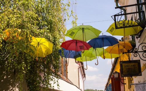 Szentendre color